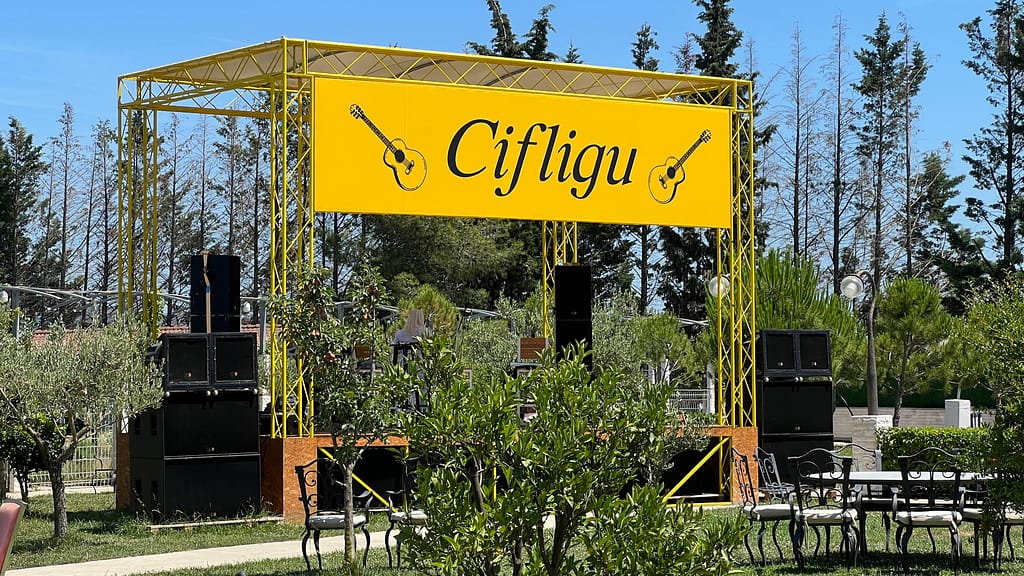 Musica dal vivo
