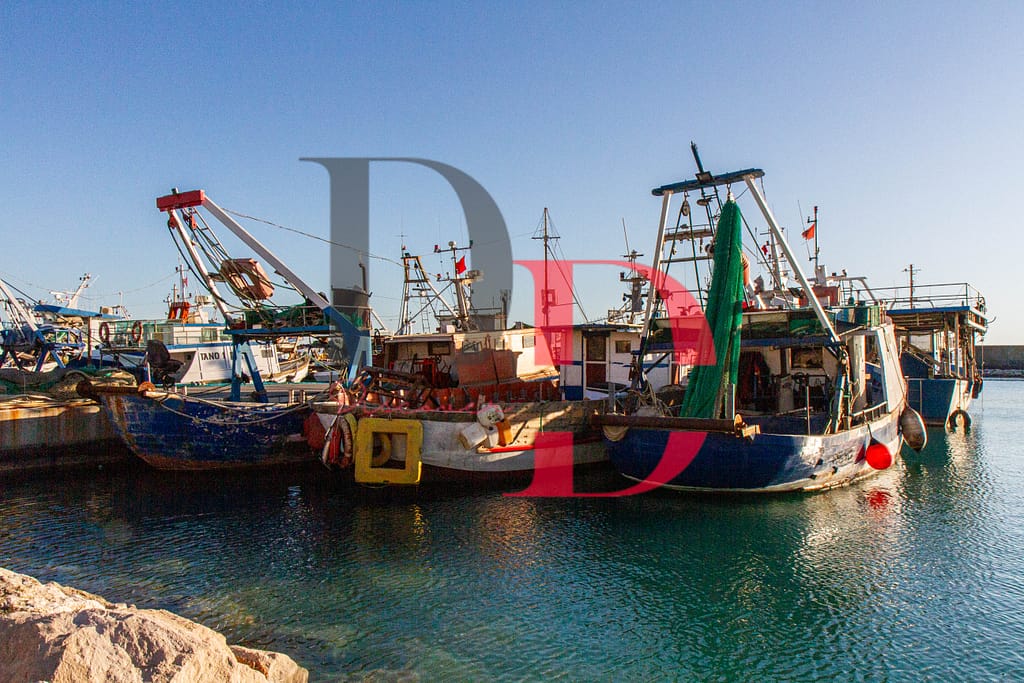 Pescherecci nel porto di Durazzo