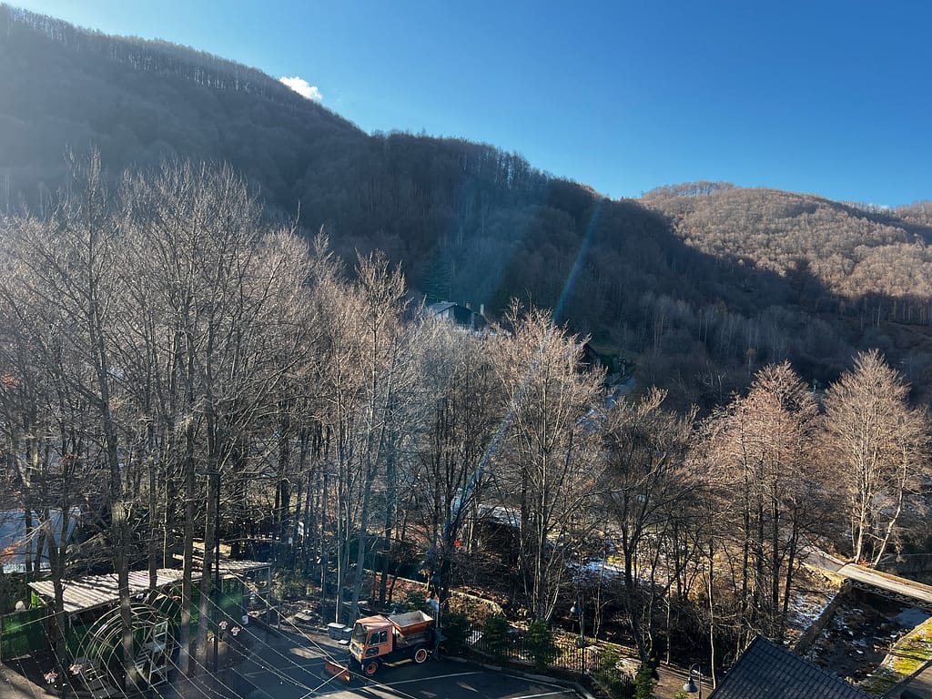 Brezovica