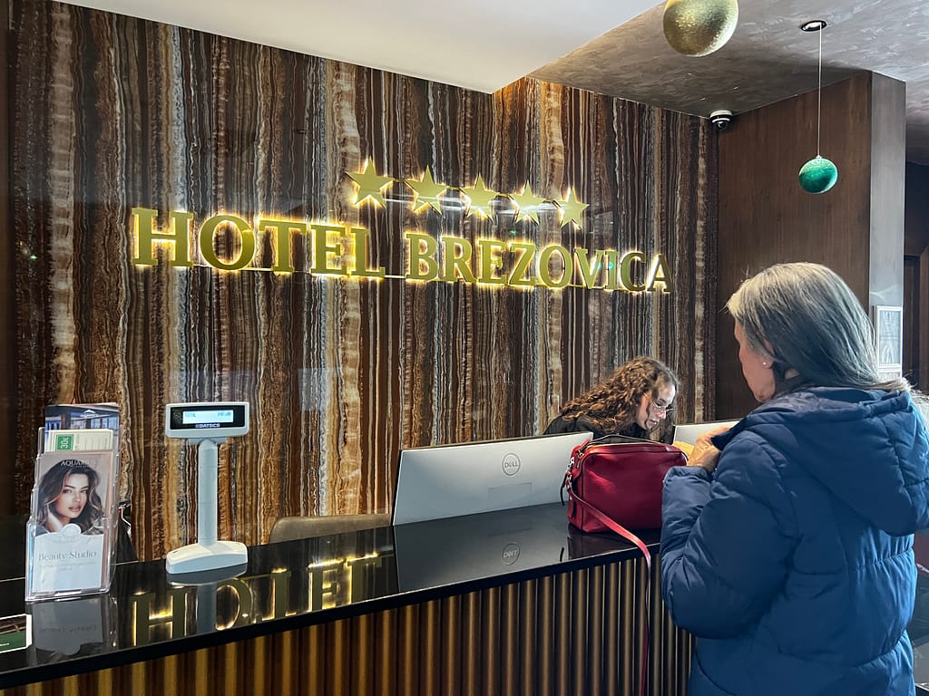 Brezovica